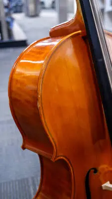 Eastman Strings - VC100 1/4 Cello Outfit 2